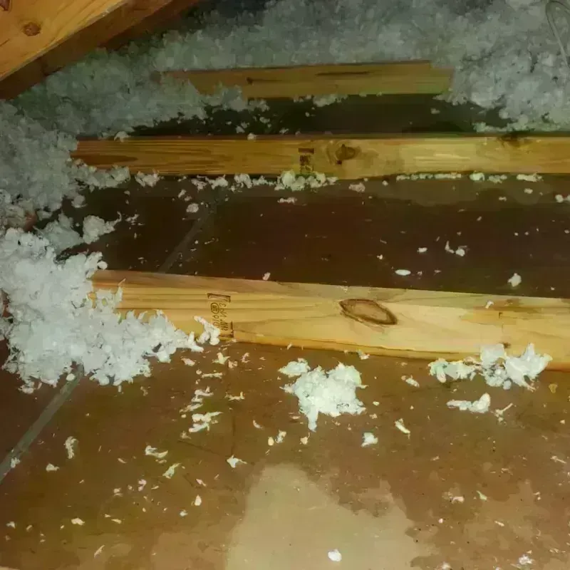 Attic Water Damage in Augusta, KY